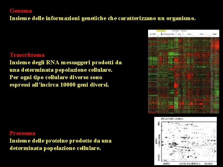 Genoma Insieme delle informazioni genetiche caratterizzano un organismo. Trascrittoma Insieme degli RNA messaggeri prodotti