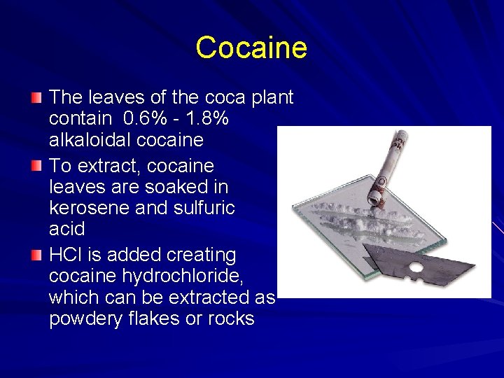 Cocaine The leaves of the coca plant contain 0. 6% - 1. 8% alkaloidal