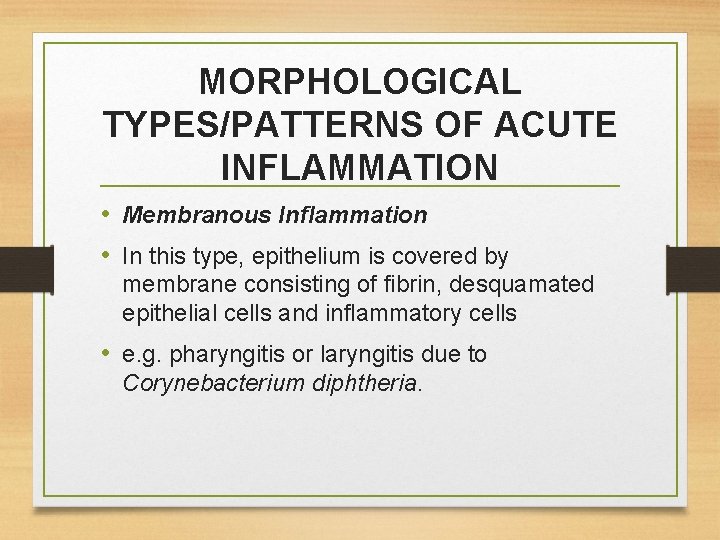 MORPHOLOGICAL TYPES/PATTERNS OF ACUTE INFLAMMATION • Membranous Inflammation • In this type, epithelium is