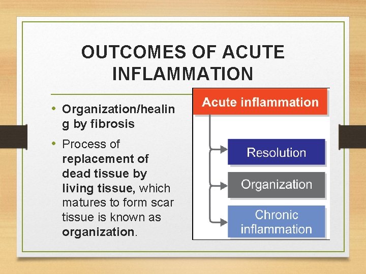 OUTCOMES OF ACUTE INFLAMMATION • Organization/healin g by fibrosis • Process of replacement of