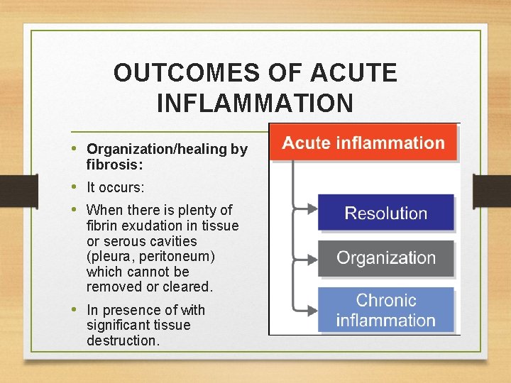 OUTCOMES OF ACUTE INFLAMMATION • Organization/healing by fibrosis: • It occurs: • When there