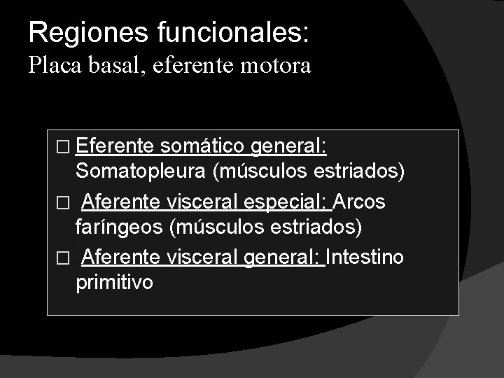 Regiones funcionales: Placa basal, eferente motora � Eferente somático general: Somatopleura (músculos estriados) �