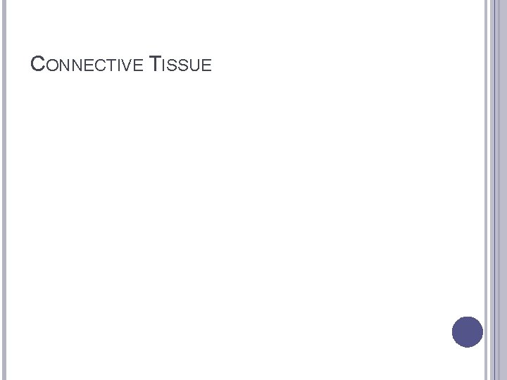 CONNECTIVE TISSUE 