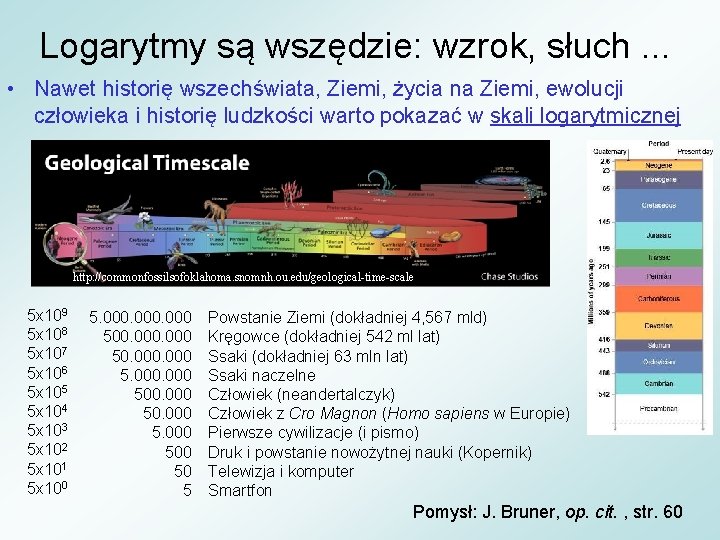 Logarytmy są wszędzie: wzrok, słuch. . . • Nawet historię wszechświata, Ziemi, życia na