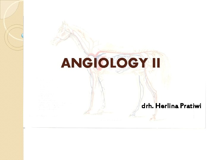 ANGIOLOGY II drh. Herlina Pratiwi 