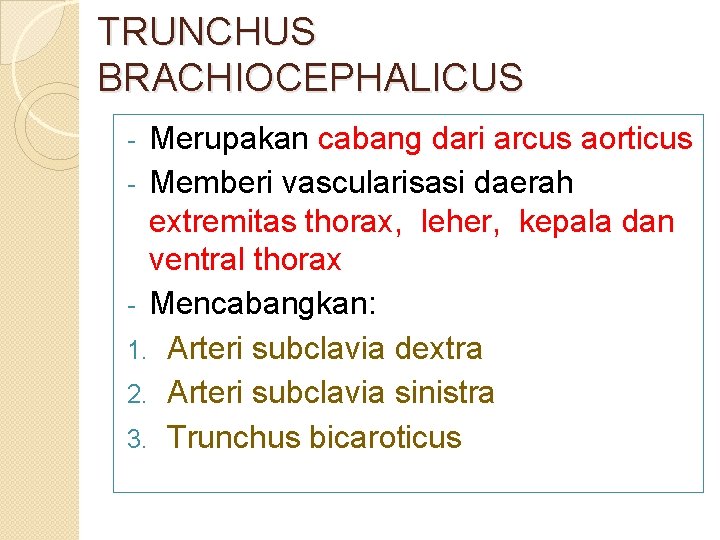 TRUNCHUS BRACHIOCEPHALICUS Merupakan cabang dari arcus aorticus - Memberi vascularisasi daerah extremitas thorax, leher,