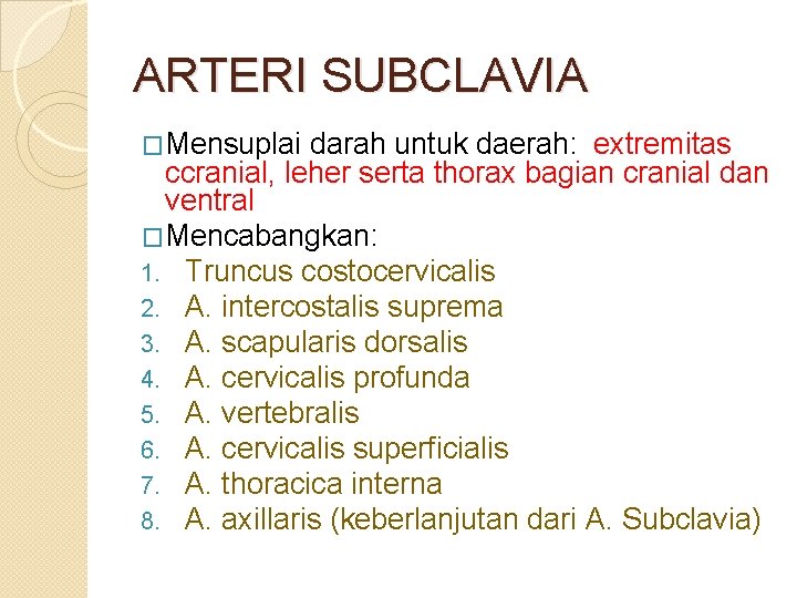 ARTERI SUBCLAVIA �Mensuplai darah untuk daerah: extremitas ccranial, leher serta thorax bagian cranial dan
