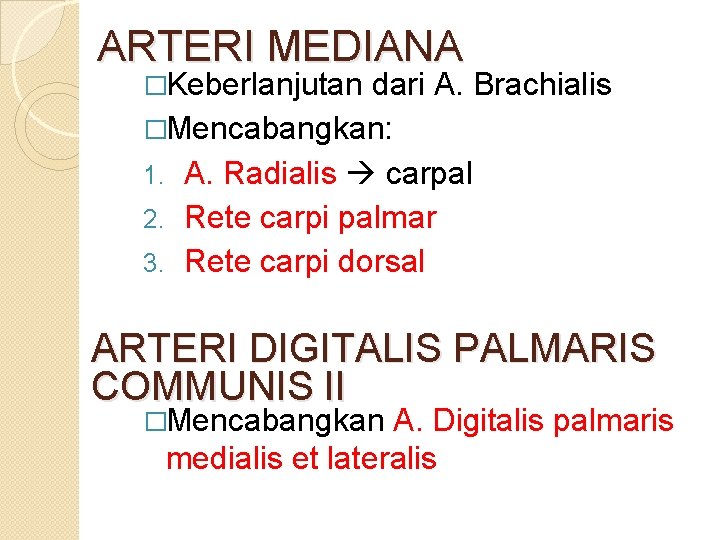 ARTERI MEDIANA �Keberlanjutan dari A. Brachialis �Mencabangkan: 1. A. Radialis carpal 2. Rete carpi