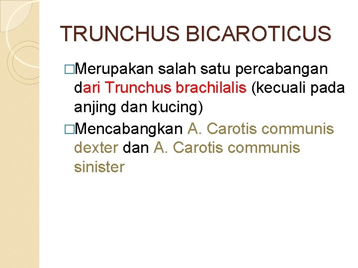 TRUNCHUS BICAROTICUS �Merupakan salah satu percabangan dari Trunchus brachilalis (kecuali pada anjing dan kucing)