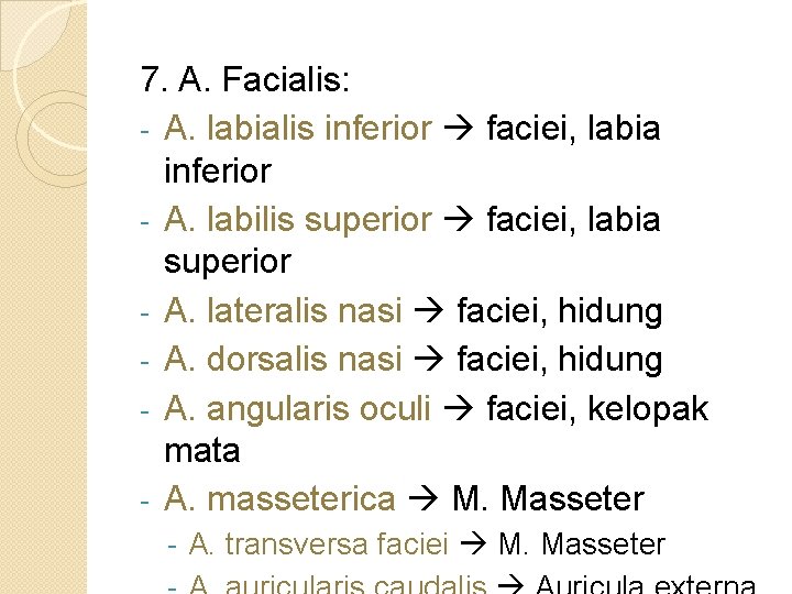 7. A. Facialis: - A. labialis inferior faciei, labia inferior - A. labilis superior