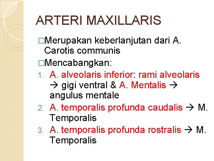 ARTERI MAXILLARIS �Merupakan keberlanjutan dari A. Carotis communis �Mencabangkan: 1. A. alveolaris inferior: rami