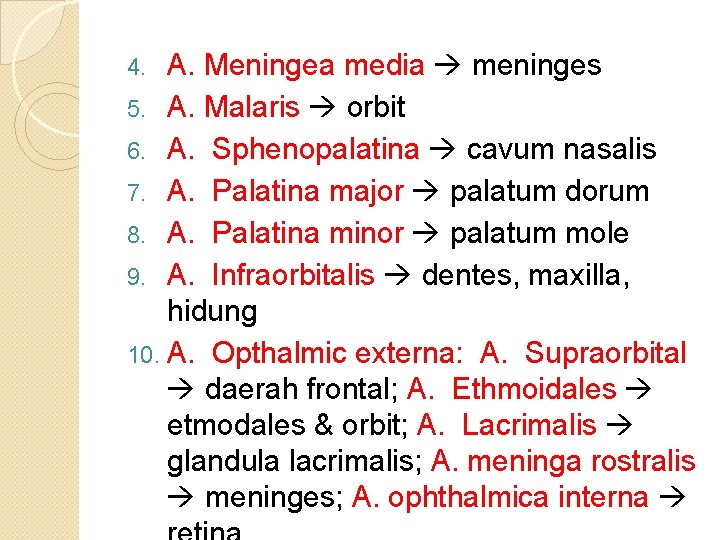 A. Meningea media meninges 5. A. Malaris orbit 6. A. Sphenopalatina cavum nasalis 7.