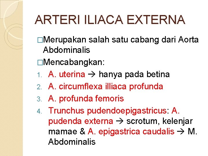 ARTERI ILIACA EXTERNA �Merupakan salah satu cabang dari Aorta Abdominalis �Mencabangkan: 1. A. uterina