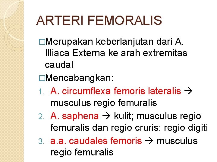 ARTERI FEMORALIS �Merupakan keberlanjutan dari A. Illiaca Externa ke arah extremitas caudal �Mencabangkan: 1.