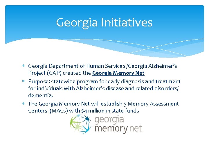 Georgia Initiatives Georgia Department of Human Services /Georgia Alzheimer’s Project (GAP) created the Georgia