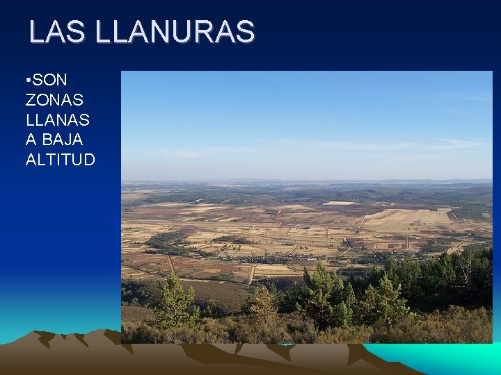 LAS LLANURAS • SON ZONAS LLANAS A BAJA ALTITUD 