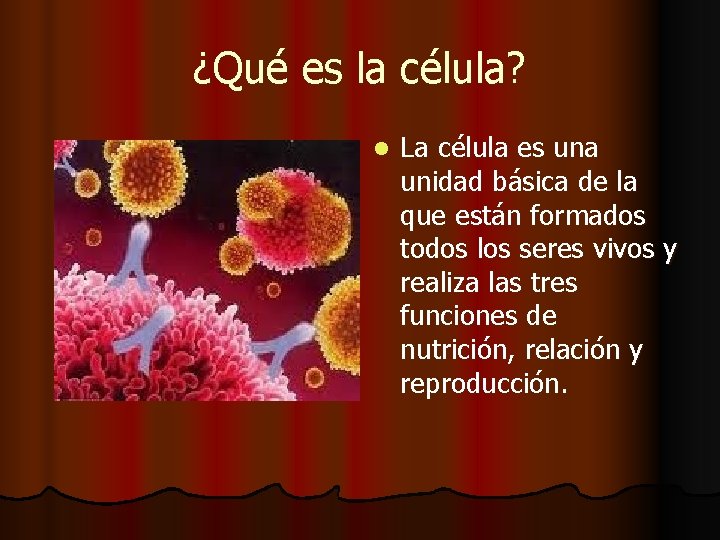 ¿Qué es la célula? l La célula es una unidad básica de la que ¿Qué es la célula? l La célula es una unidad básica de la que