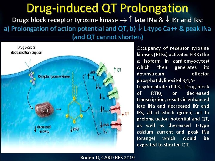Drug-induced QT Prolongation Drugs block receptor tyrosine kinase late INa & IKr and Iks: Drug-induced QT Prolongation Drugs block receptor tyrosine kinase late INa & IKr and Iks: