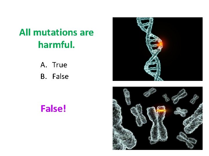 All mutations are harmful. A. True B. False! 