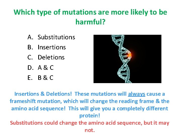 Which type of mutations are more likely to be harmful? A. B. C. D.