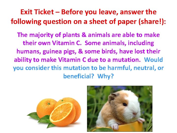 Exit Ticket – Before you leave, answer the following question on a sheet of