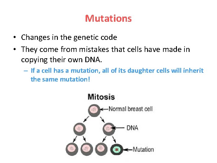 Mutations • Changes in the genetic code • They come from mistakes that cells