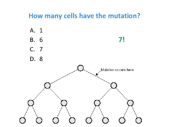 How many cells have the mutation? A. B. C. D. 1 6 7 8