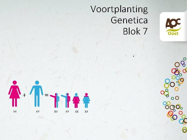 Voortplanting Genetica Blok 7 