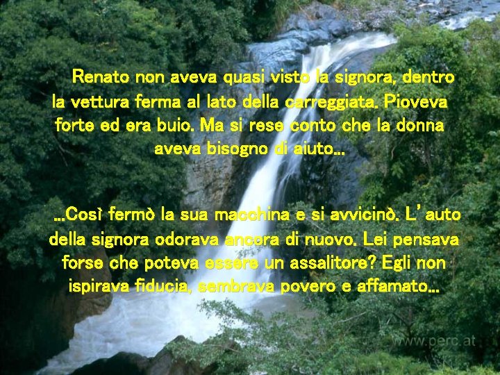 Renato non aveva quasi visto la signora, dentro la vettura ferma al lato della