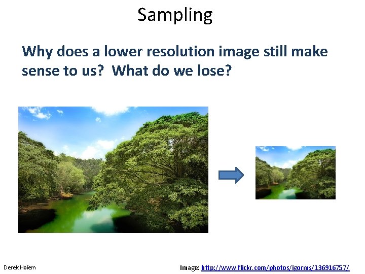 Sampling Why does a lower resolution image still make sense to us? What do