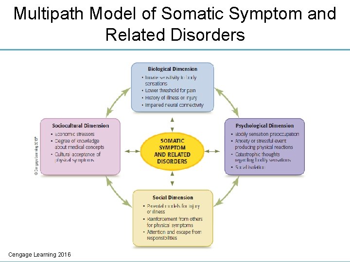 Multipath Model of Somatic Symptom and Related Disorders Cengage Learning 2016 