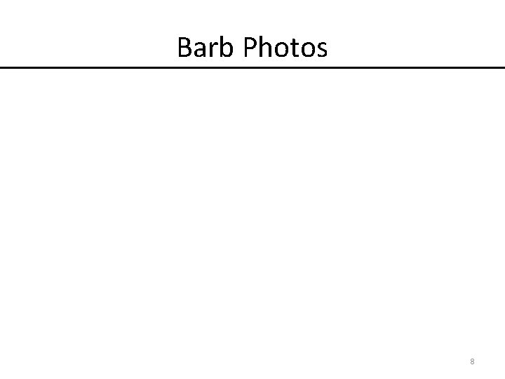 Barb Photos 8 