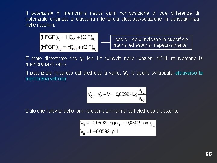 Il potenziale di membrana risulta dalla composizione di due differenze di potenziale originate a