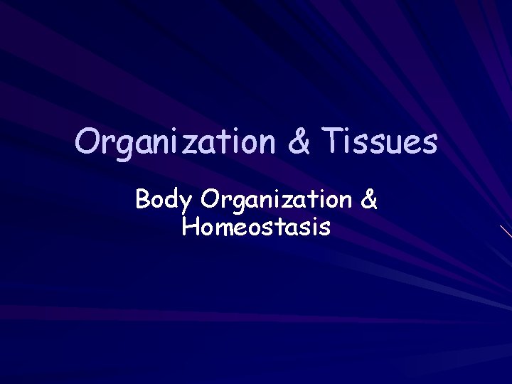 Organization & Tissues Body Organization & Homeostasis 