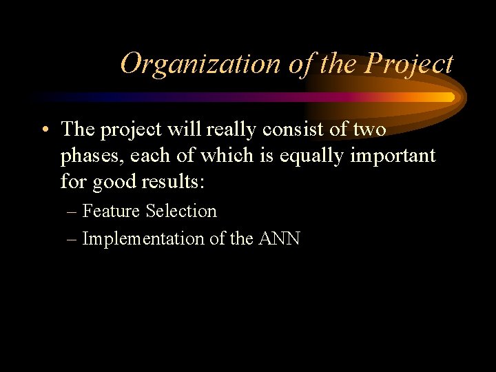 Organization of the Project • The project will really consist of two phases, each