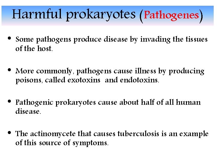 Harmful prokaryotes (Pathogenes) • Some pathogens produce disease by invading the tissues of the