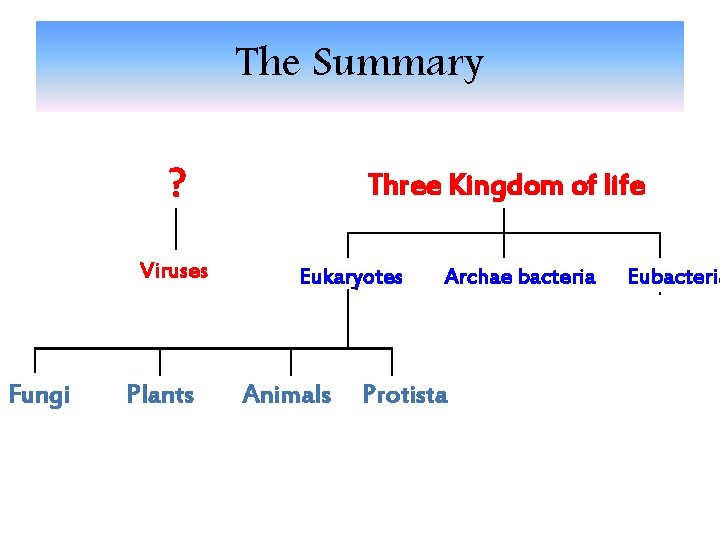 The Summary ? Viruses Fungi Plants Three Kingdom of life Eukaryotes Animals Archae bacteria