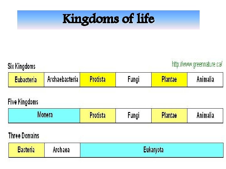 Kingdoms of life 