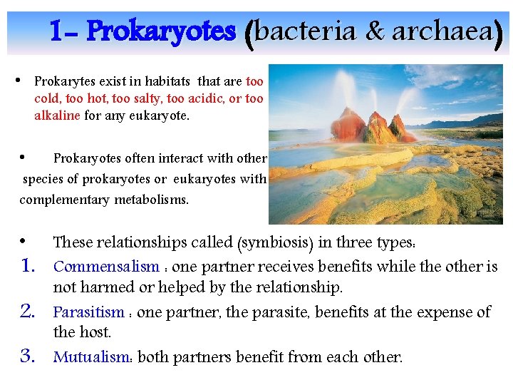 1 - Prokaryotes (bacteria & archaea) • Prokarytes exist in habitats that are too