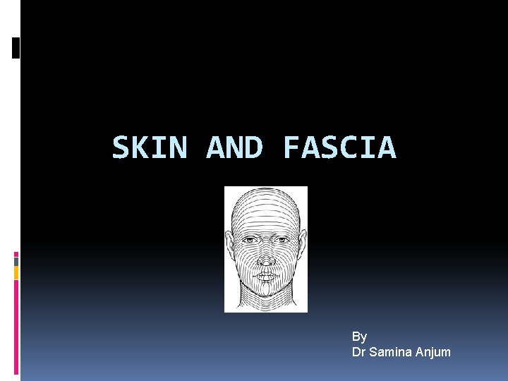 SKIN AND FASCIA By Dr Samina Anjum 