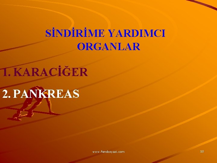 SİNDİRİME YARDIMCI ORGANLAR 1. KARACİĞER 2. PANKREAS www. fendosyasi. com 10 