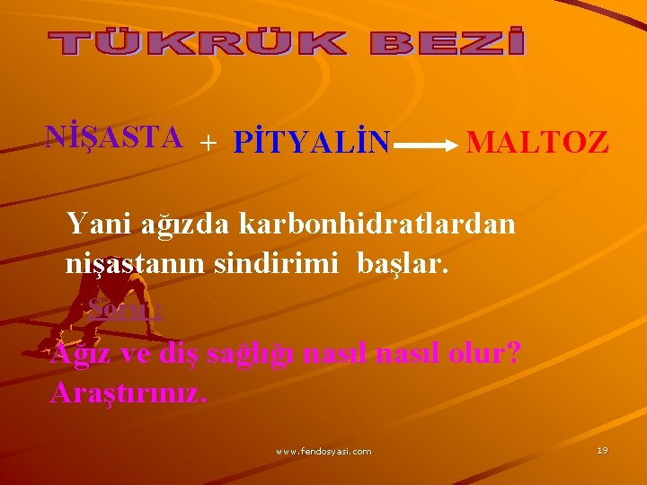NİŞASTA + PİTYALİN MALTOZ Yani ağızda karbonhidratlardan nişastanın sindirimi başlar. Soru : Ağız ve