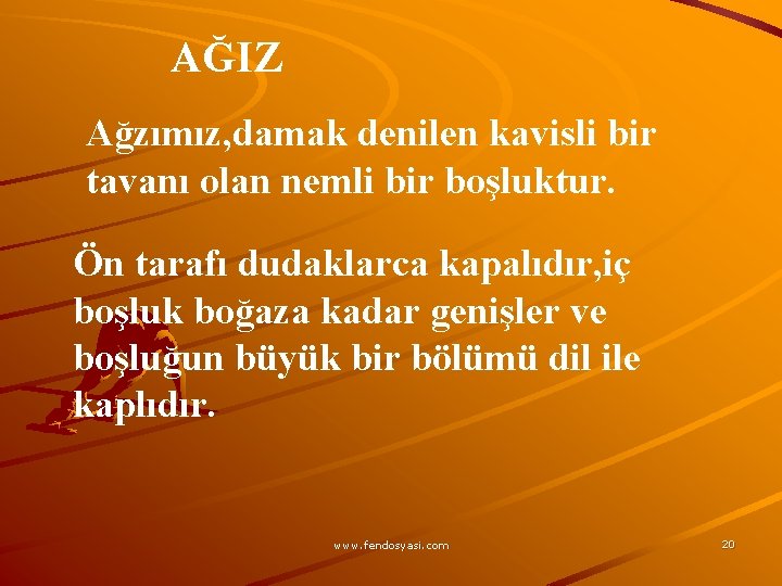 AĞIZ Ağzımız, damak denilen kavisli bir tavanı olan nemli bir boşluktur. Ön tarafı dudaklarca
