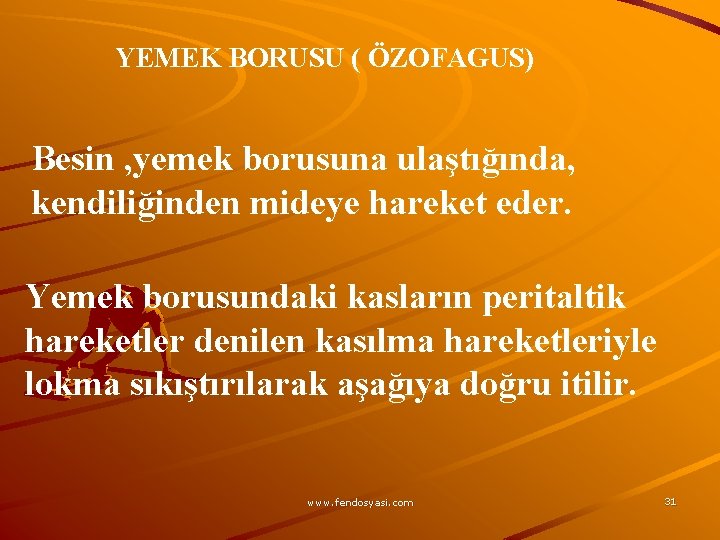 YEMEK BORUSU ( ÖZOFAGUS) Besin , yemek borusuna ulaştığında, kendiliğinden mideye hareket eder. Yemek