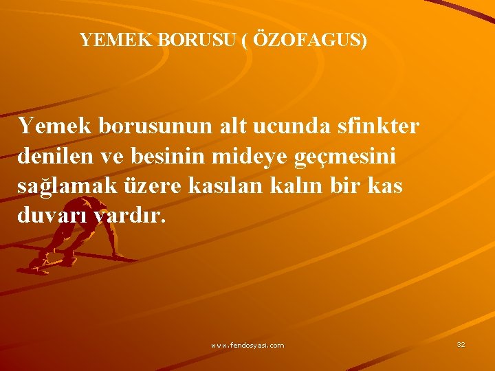 YEMEK BORUSU ( ÖZOFAGUS) Yemek borusunun alt ucunda sfinkter denilen ve besinin mideye geçmesini