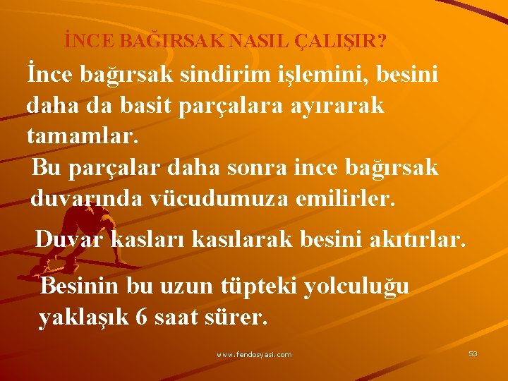 İNCE BAĞIRSAK NASIL ÇALIŞIR? İnce bağırsak sindirim işlemini, besini daha da basit parçalara ayırarak