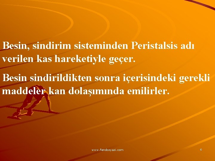 Besin, sindirim sisteminden Peristalsis adı verilen kas hareketiyle geçer. Besin sindirildikten sonra içerisindeki gerekli