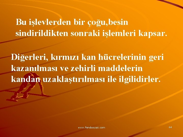 Bu işlevlerden bir çoğu, besin sindirildikten sonraki işlemleri kapsar. Diğerleri, kırmızı kan hücrelerinin geri