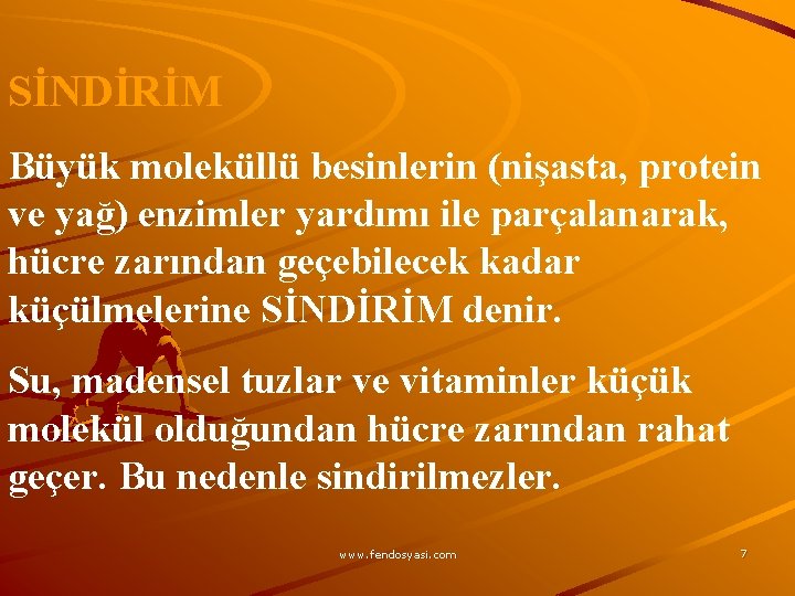 SİNDİRİM Büyük moleküllü besinlerin (nişasta, protein ve yağ) enzimler yardımı ile parçalanarak, hücre zarından