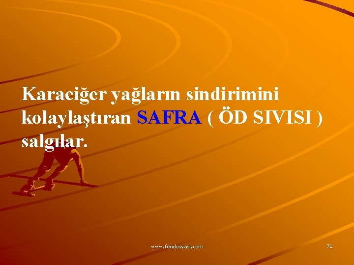 Karaciğer yağların sindirimini kolaylaştıran SAFRA ( ÖD SIVISI ) salgılar. www. fendosyasi. com 71